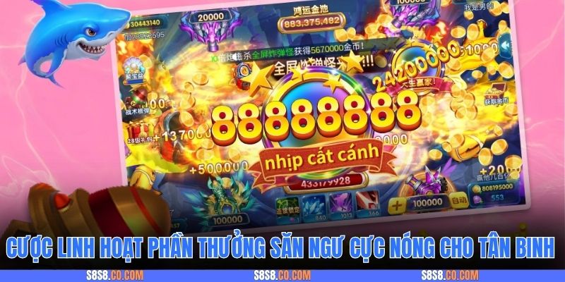 Cược linh hoạt phần thưởng săn ngư cực nóng cho tân binh