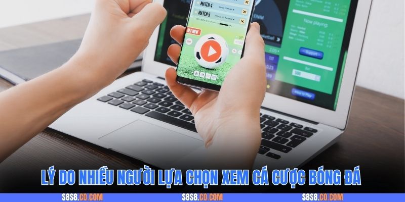 Lý do nhiều người lựa chọn xem cá cược bóng đá