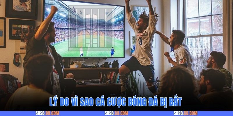 Lý do vì sao cá cược bóng đá bị bắt