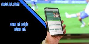 xem cá cược bóng đá