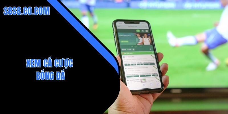 xem cá cược bóng đá