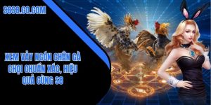 Xem vảy ngón chân gà chọi